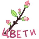 ⭐