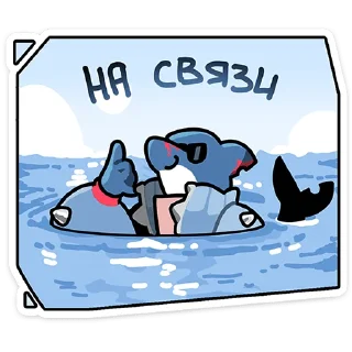 ⭐