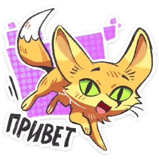 ⭐
