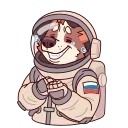 ⭐