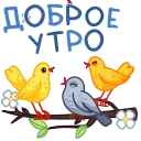 ⭐