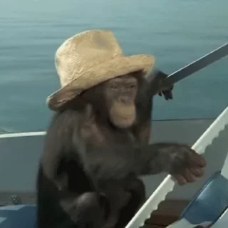 🐵