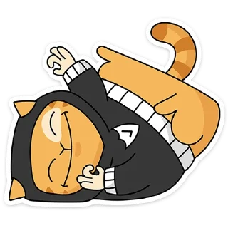 🐱