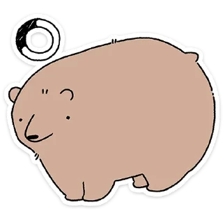 🐻