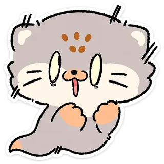 😼