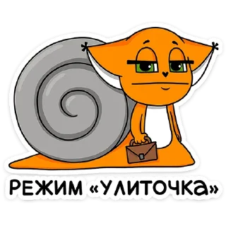 🦊