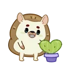 🌵