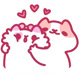 🐱