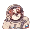 ⭐