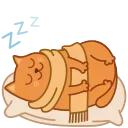 😴