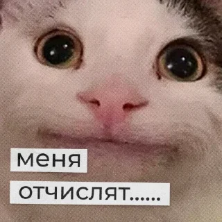 ☠️