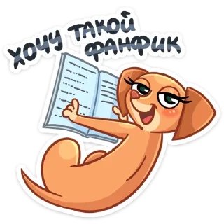 📚