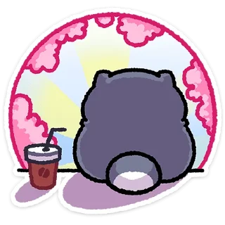 ✨