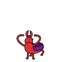 🐞