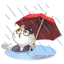 ☔