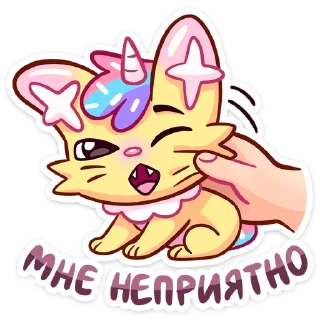 😼