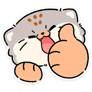 😼