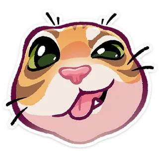 🐱