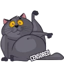 🙀