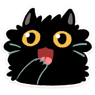 🐱