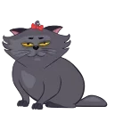 😾