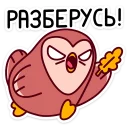 👊