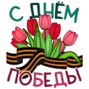 ⭐