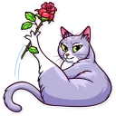 🌹