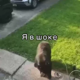 😳