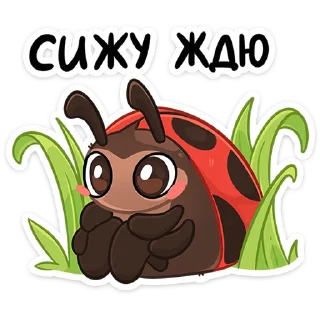 🐞