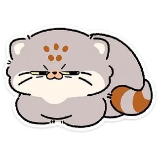 😼