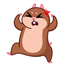 ⭐