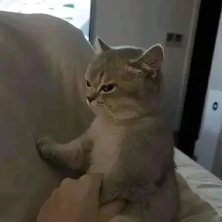 😡