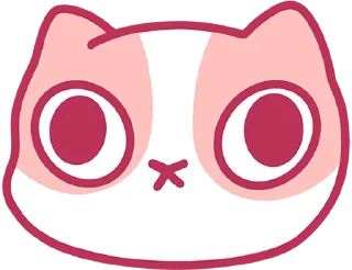 🐱