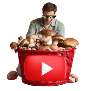 🍲