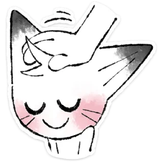 🐱