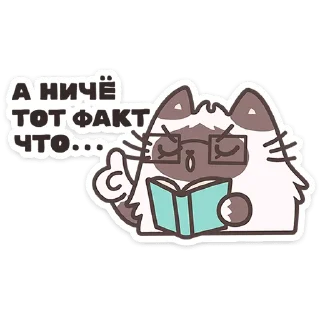 🐱