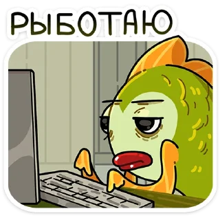 ⌨