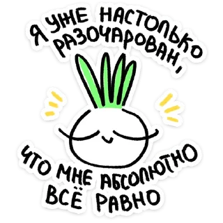 ✨