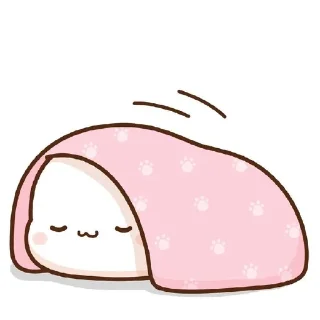 🛌