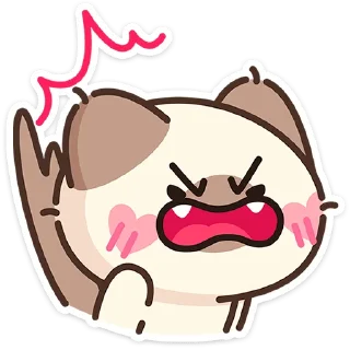 🐱