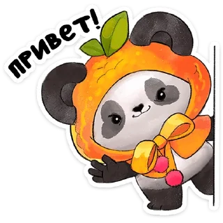 🐼