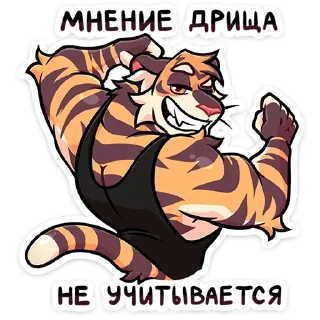 🐯