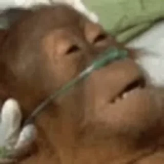 💀