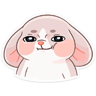 😼