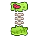 🔤