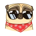 😎