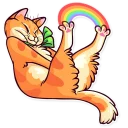 🌈