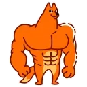 💪
