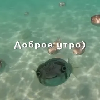 👋